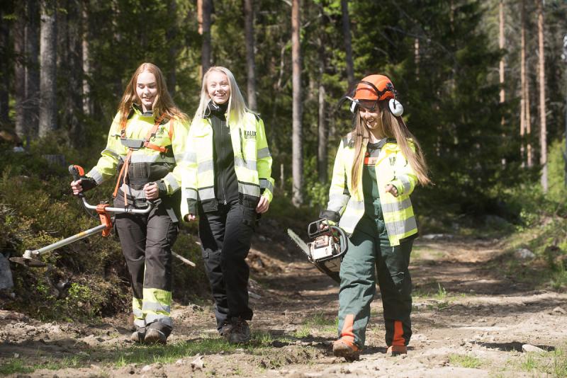 Tre tjejer i skogen