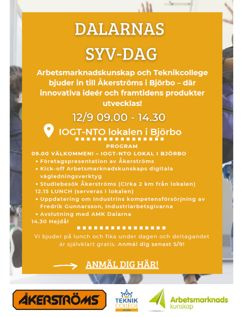 Dalarnas SYV-dag