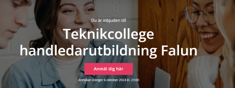 handledarutbildning Falun